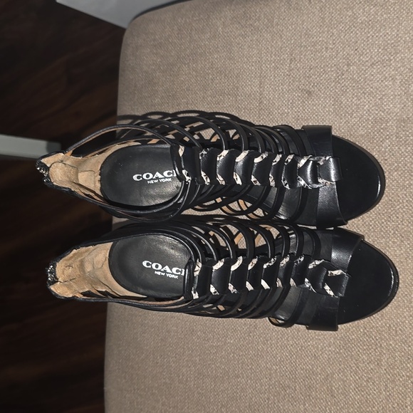 Coach - Picture 5 of 6